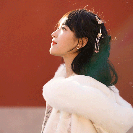 上海千花论坛：千花齐放，踏进花的世界