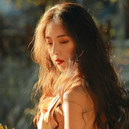 上海龙凤花坛：花坛的声音，花朵和昆虫的奇妙交响 - 上海龙凤419