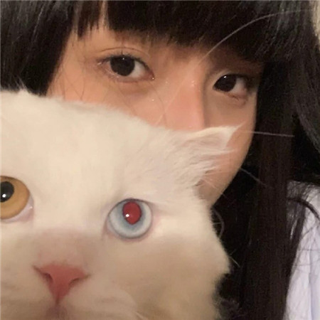 上海龙凤花坛：花坛中的光影之舞 - 上海龙凤419