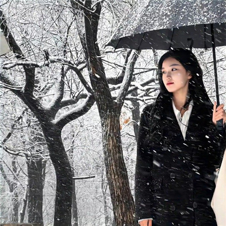 上海后花园爱上海：上海文化盛典，艺术家齐聚一堂