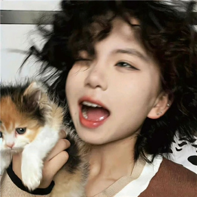 上海龙凤花坛：花坛回忆录，记录花坛中的美好瞬间 - 上海龙凤419