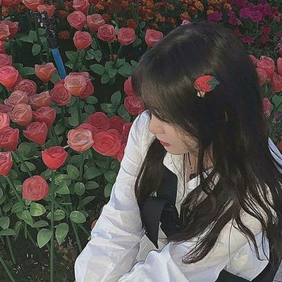 阿拉爱上海：上海的棒球之旅