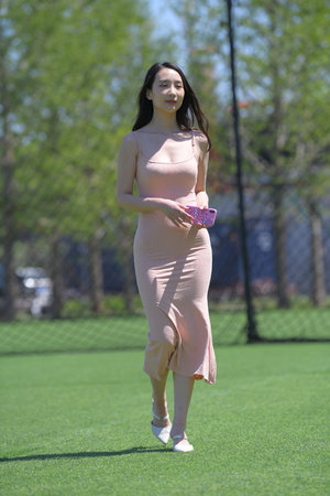 上海龙凤花坛：花坛群英，花朵们的挑战和竞争的舞台 - 上海龙凤419