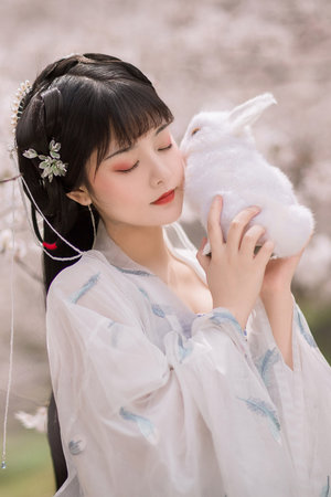 上海龙凤花坛：花坛美食，与花共舞的味觉盛宴 - 上海龙凤419