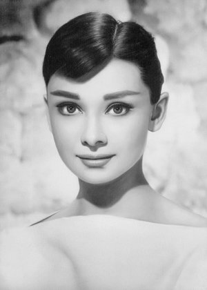 上海千花论坛：千花，花海漫游的甜蜜时刻